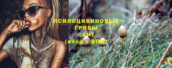 дживик Армянск