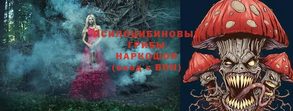 первитин Балахна