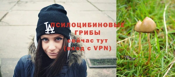 первитин Балахна